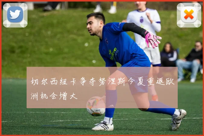 切尔西纽卡争夺努涅斯今夏重返欧洲机会增大