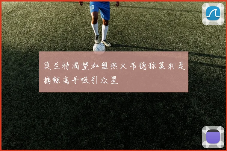 莫兰特渴望加盟热火韦德称莱利是捕鲸高手吸引众星